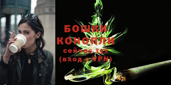 бошки Гусиноозёрск