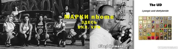 Альфа ПВП Гусев