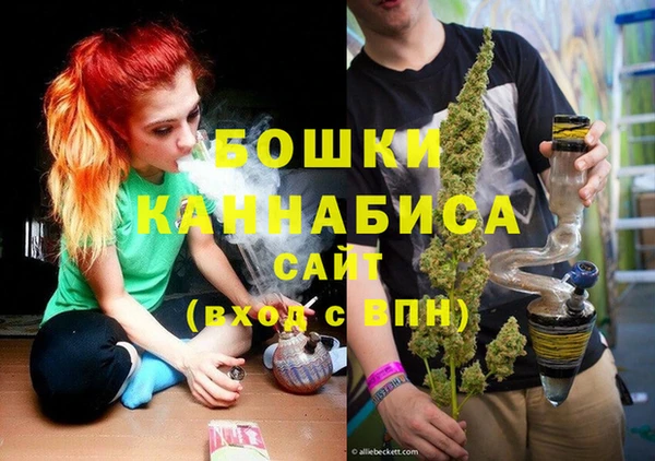 Альфа ПВП Гусев
