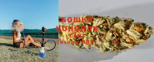 Альфа ПВП Гусев